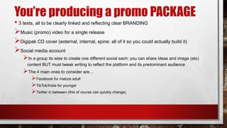 You’re producing a promo PACKAGE
• 3 texts, all to be clearly linked and reflecting clear BRANDING
Music (promo) video fo...
