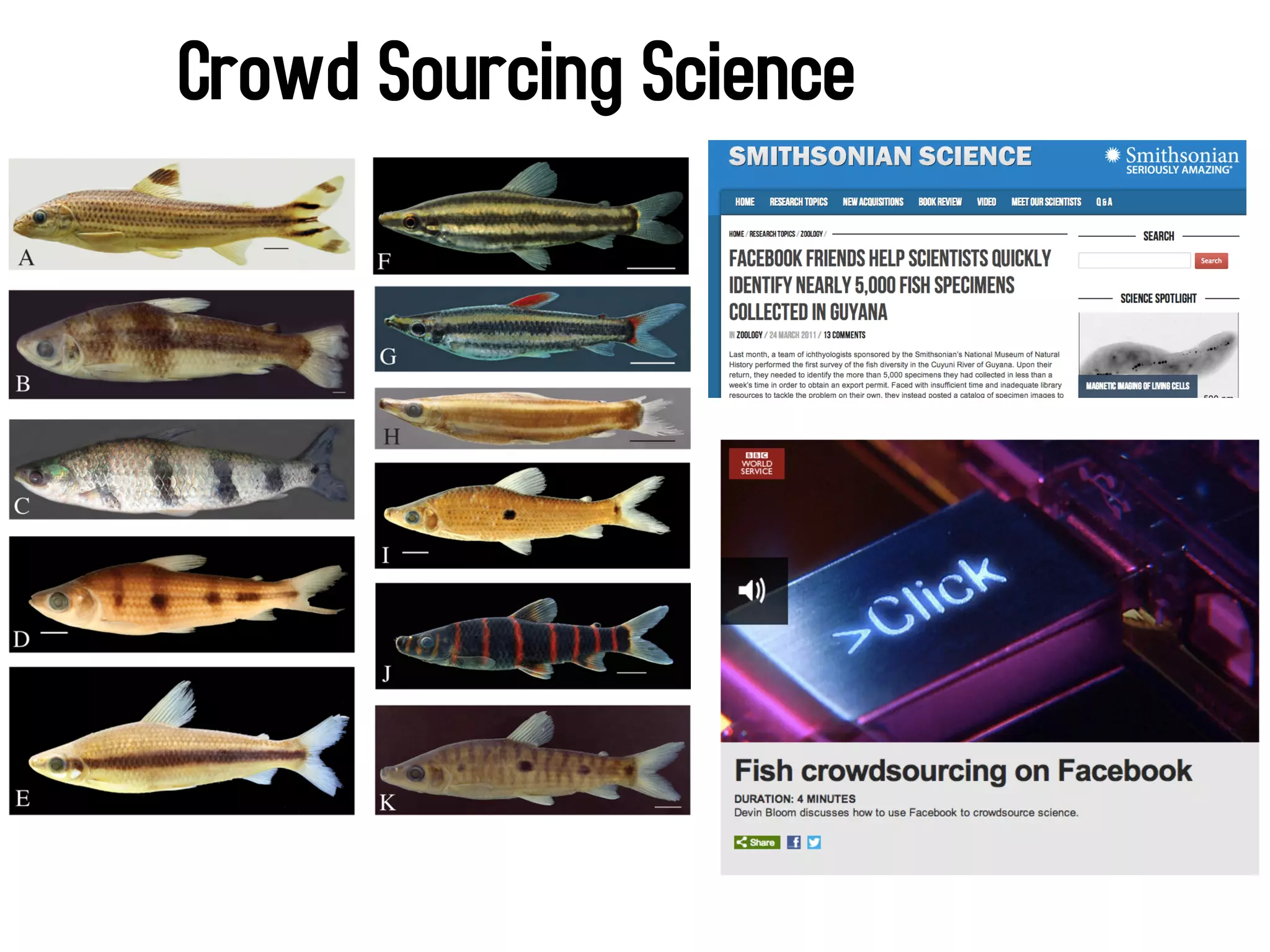 Crowd Sourcing Science 
 