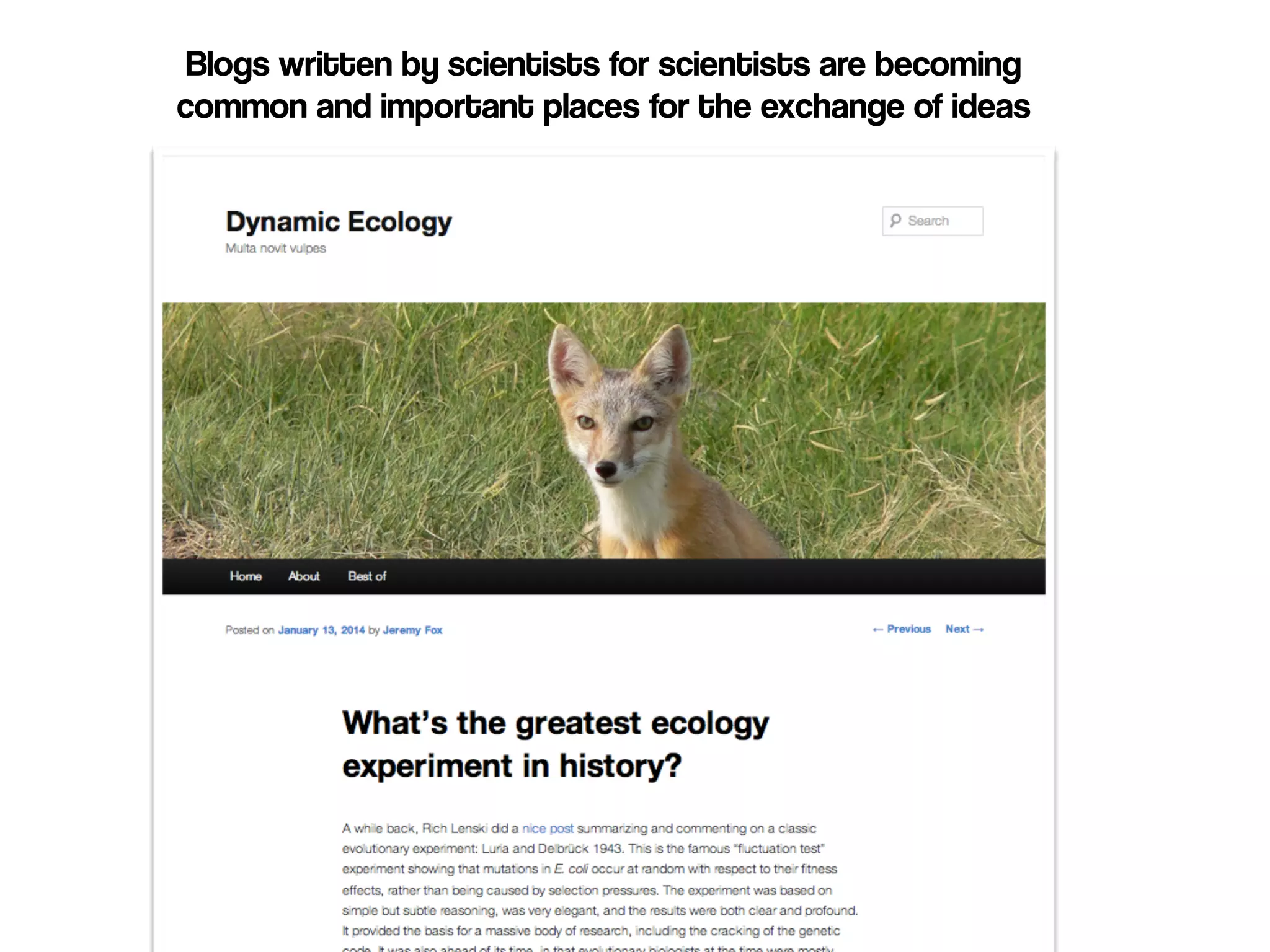 Blogs written by scientists for scientists are becoming 
common and important places for the exchange of ideas 
 