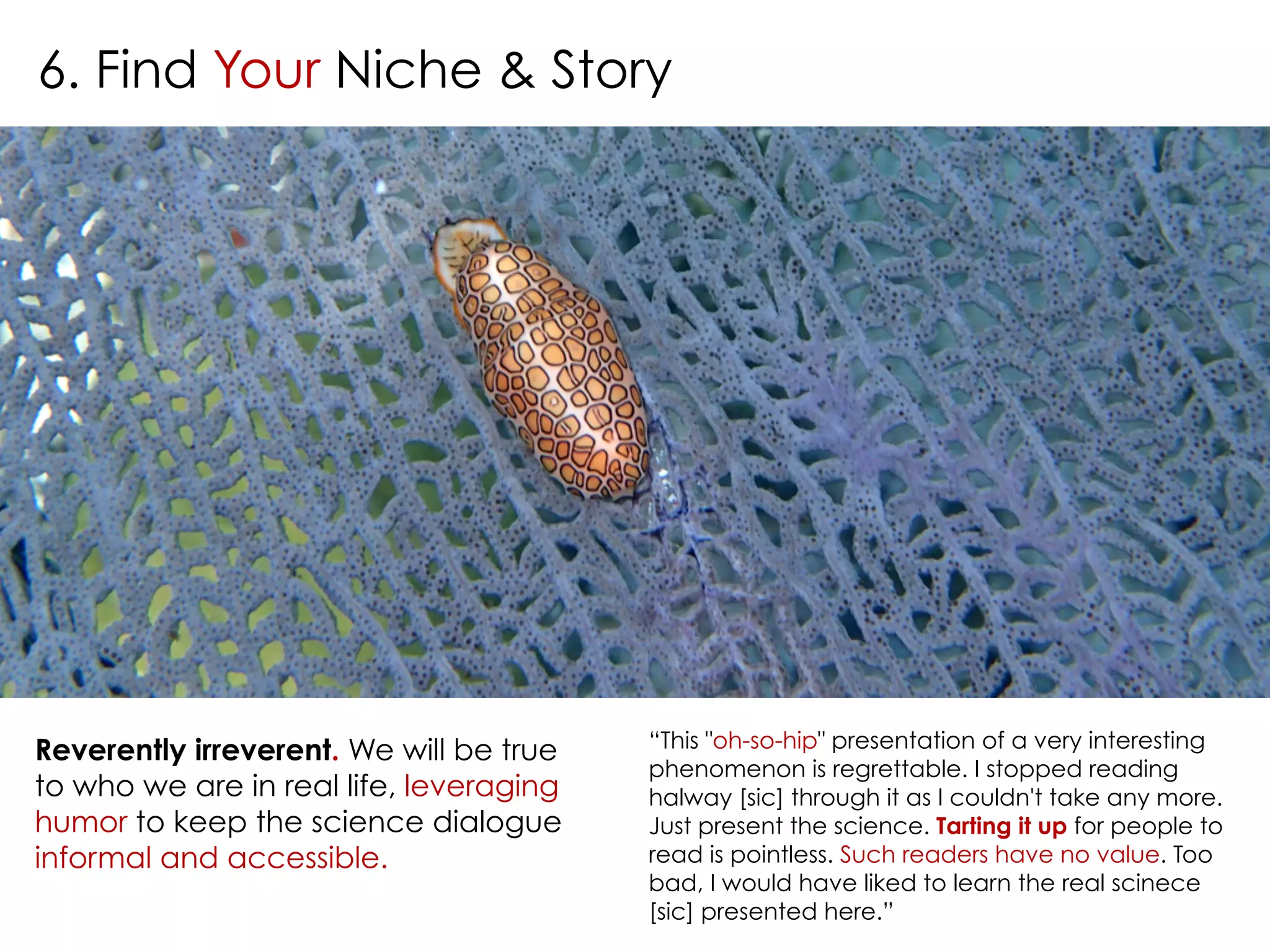 6. Find Your Niche & Story 
Reverently irreverent. We will be true 
to who we are in real life, leveraging 
humor to keep the science dialogue 
informal and accessible. 
“This "oh-so-hip" presentation of a very interesting 
phenomenon is regrettable. I stopped reading 
halway [sic] through it as I couldn't take any more. 
Just present the science. Tarting it up for people to 
read is pointless. Such readers have no value. Too 
bad, I would have liked to learn the real scinece 
[sic] presented here.” 
 