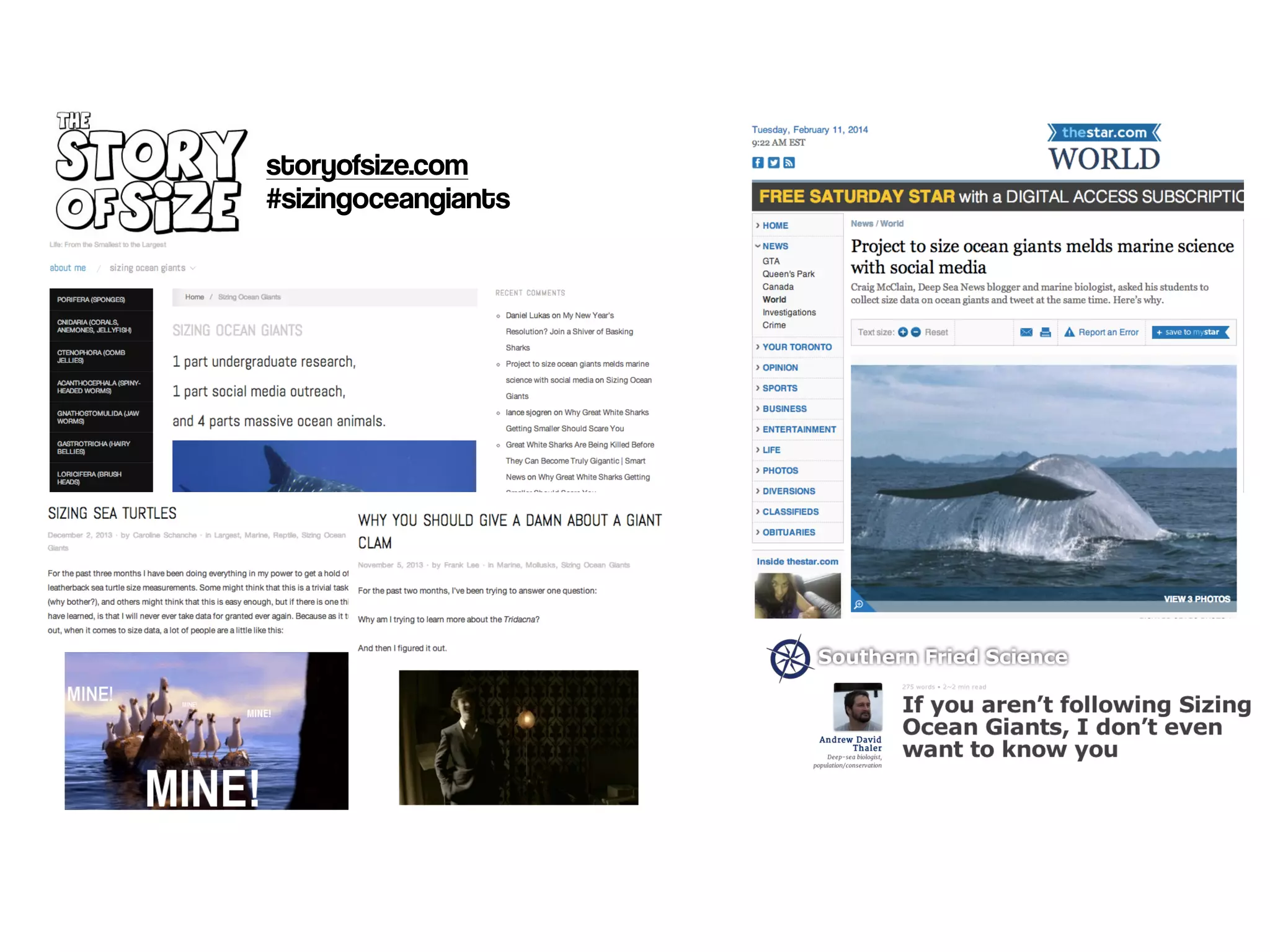 storyofsize.com 
#sizingoceangiants 
 