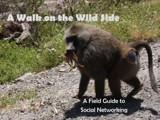 A Walk on the Wild Side




                A Field Guide to
               Social Networking
 