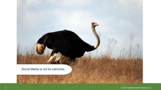 2
2 © 2016 Cambia Health Solutions, Inc.
Social Media is not for ostriches.
 