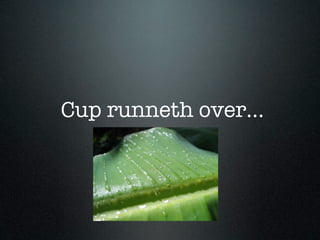 Cup runneth over...
 
