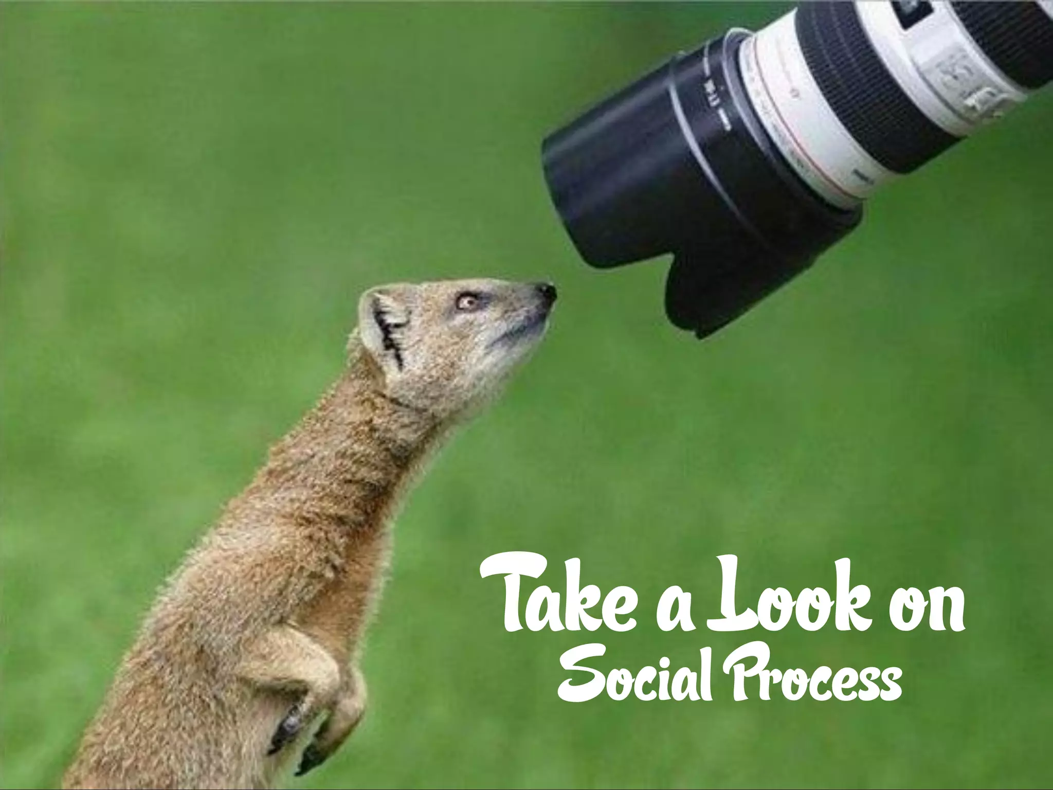 Take a Look on
  Social Process
 