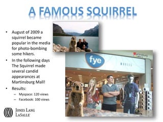 • August of 2009 a
squirrel became
popular in the media
for photo-bombing
some hikers.
• In the following days
The Squirrel made
several candid
appearances at
Martinsburg Mall!
• Results:
– Myspace: 120 views
– Facebook: 100 views
 