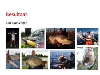 378 plaatsingen Resultaat 