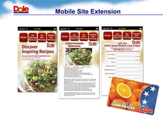 Mobile Site Extension
 