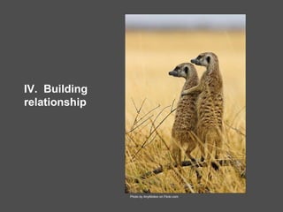 IV.  Building relationship Photo by AnyMotion on Flickr.com 