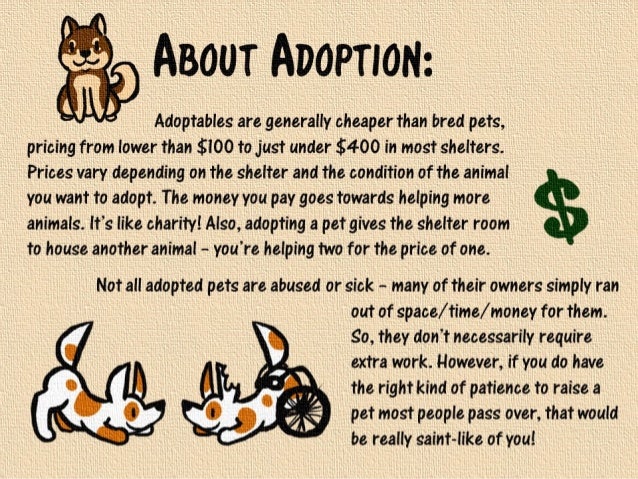 Is Adopting A Dog Cheaper Than Buying Is Adopting A Dog Cheaper Than Buying