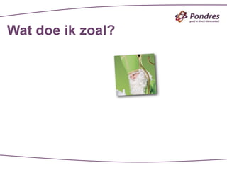 Wat doe ik zoal?
 