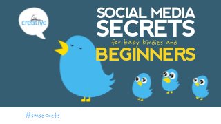 SOCIAL MEDIA
SECRETS
 
for baby birdies and
BEGINNERS
#smsecrets
 