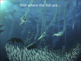 Fish where the fish are...
 