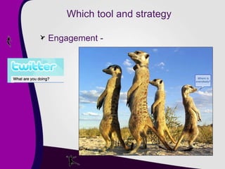 Which tool and strategy Engagement - 