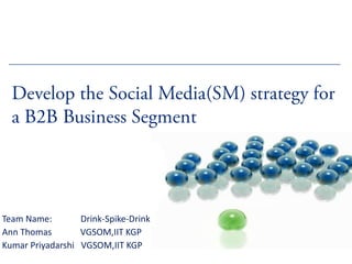 Develop the Social Media(SM) strategy for a B2B Business Segment  Team Name:             Drink-Spike-Drink  Ann Thomas             VGSOM,IIT KGP  Kumar Priyadarshi   VGSOM,IIT KGP 