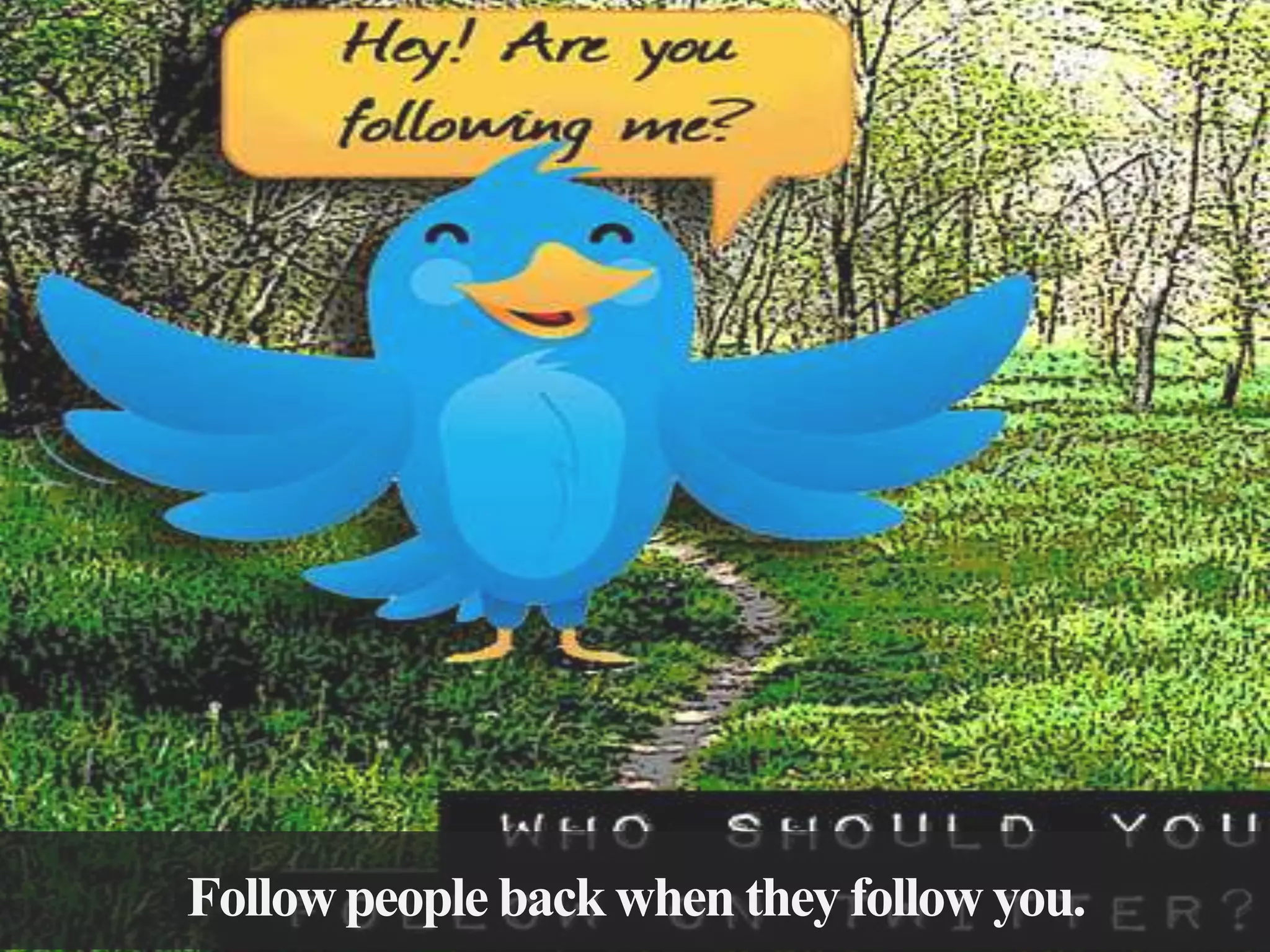 Follow people back when they follow you.

 