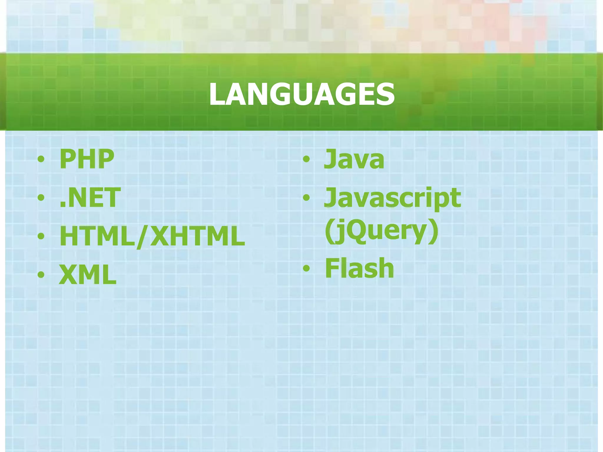LANGUAGES

•   PHP          • Java
•   .NET         • Javascript
•   HTML/XHTML     (jQuery)
•   XML          • Flash
 