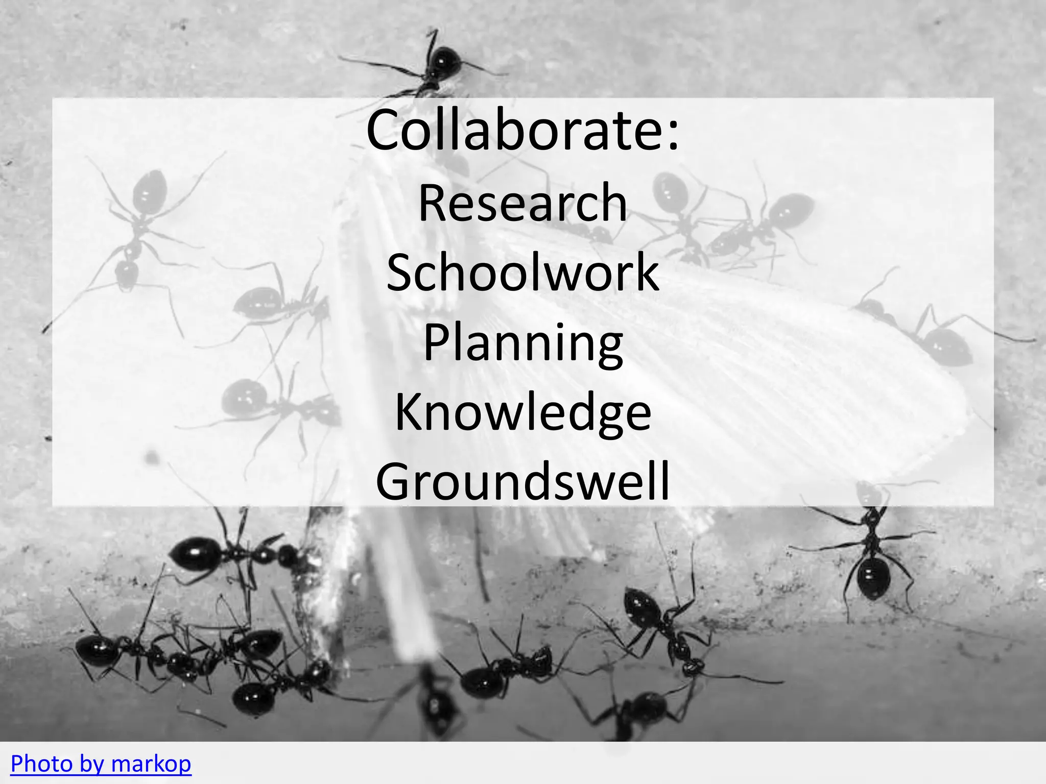 COLLABORATE
               Collaborate:
                   Research
                  Schoolwork
                    Planning
                  Knowledge
                  Groundswell



Photo by markop
 