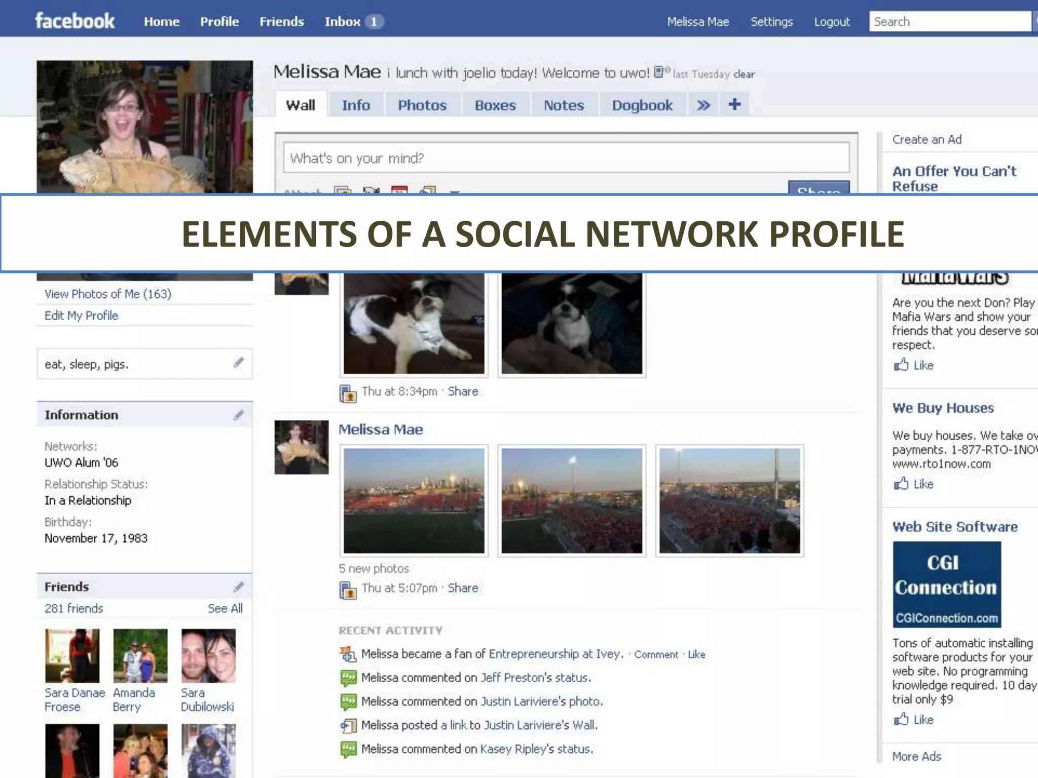 ELEMENTS OF A SOCIAL NETWORK PROFILE
 