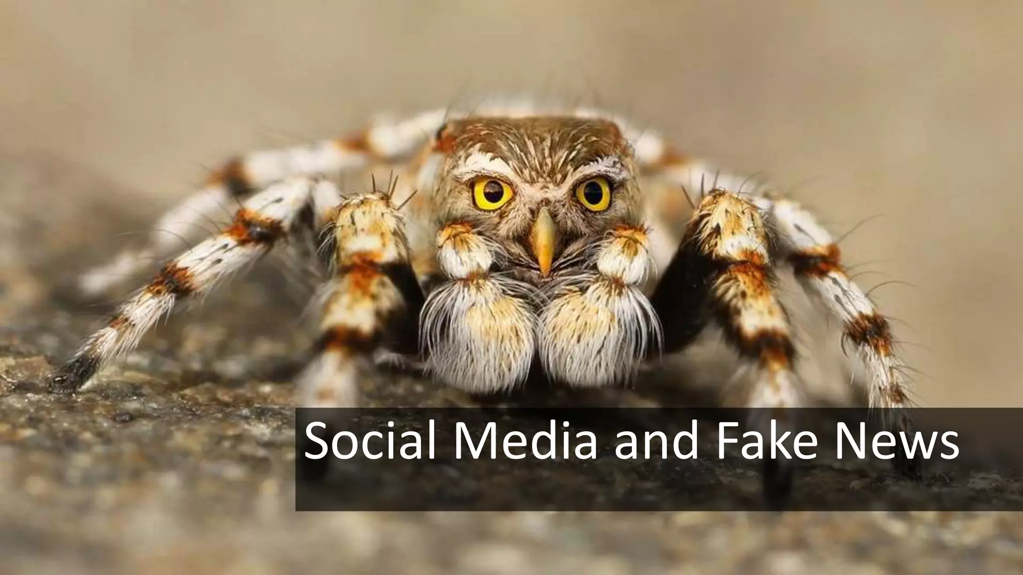 Social Media and Fake News
 