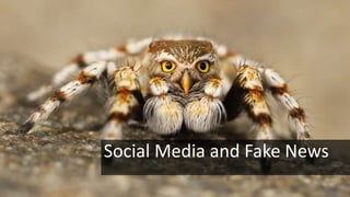 Social Media and Fake News
 