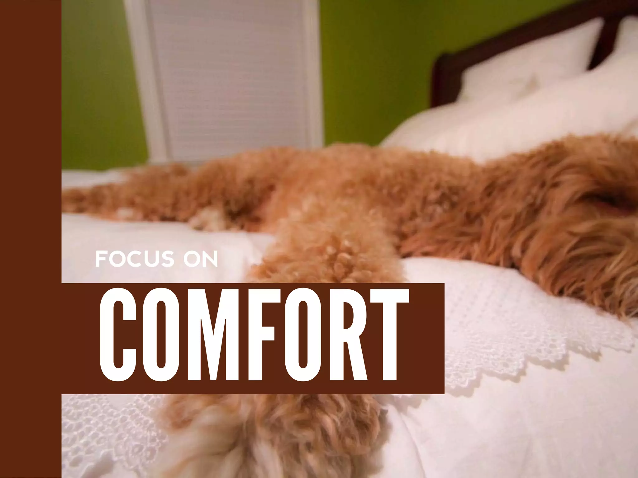 FOCUS ON
COMFORT
 