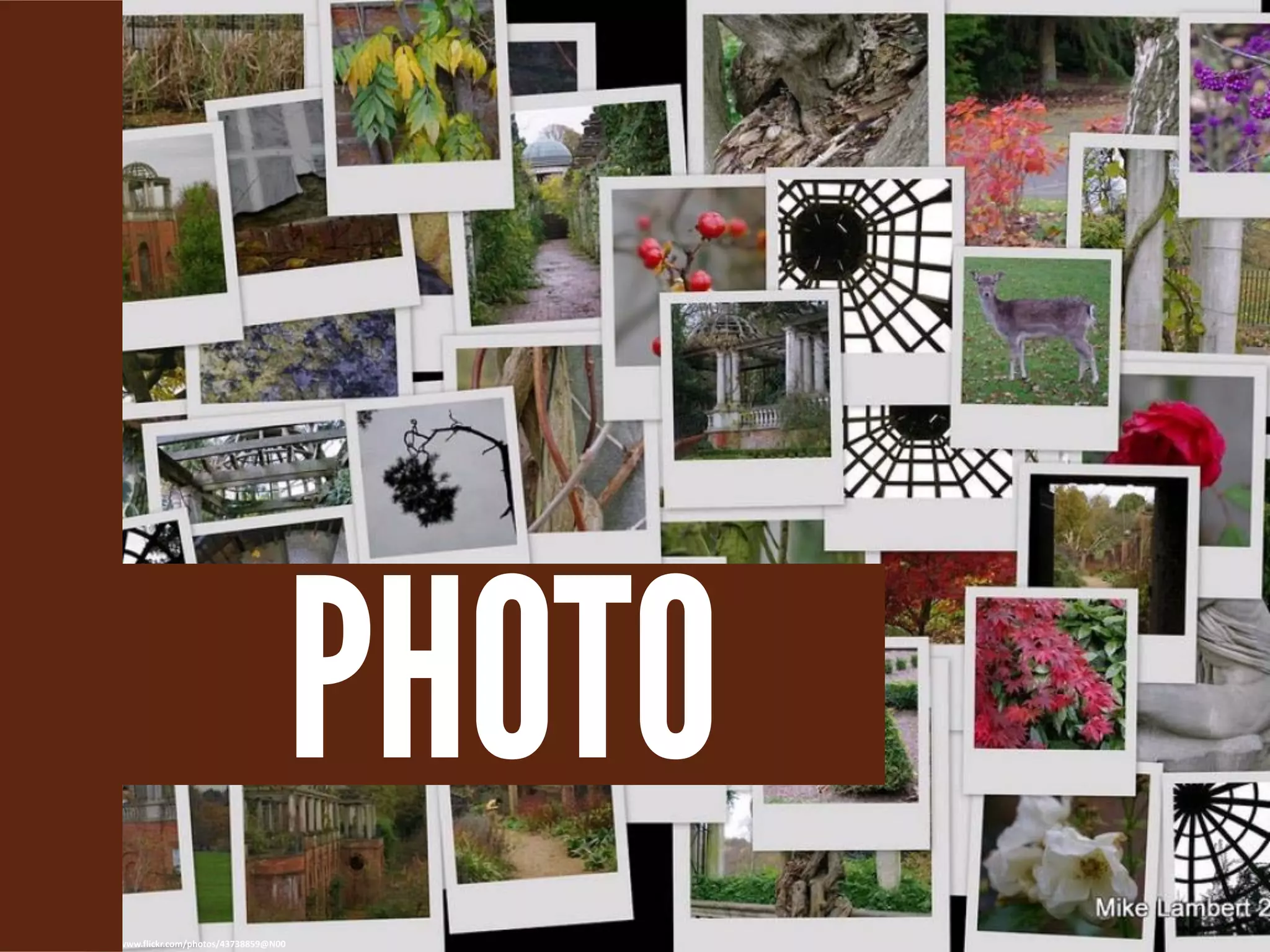 cc: Mike A Lambert - https://www.flickr.com/photos/43738859@N00
PHOTO
 