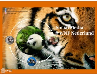 Social media @wnf