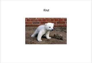 Knut
 