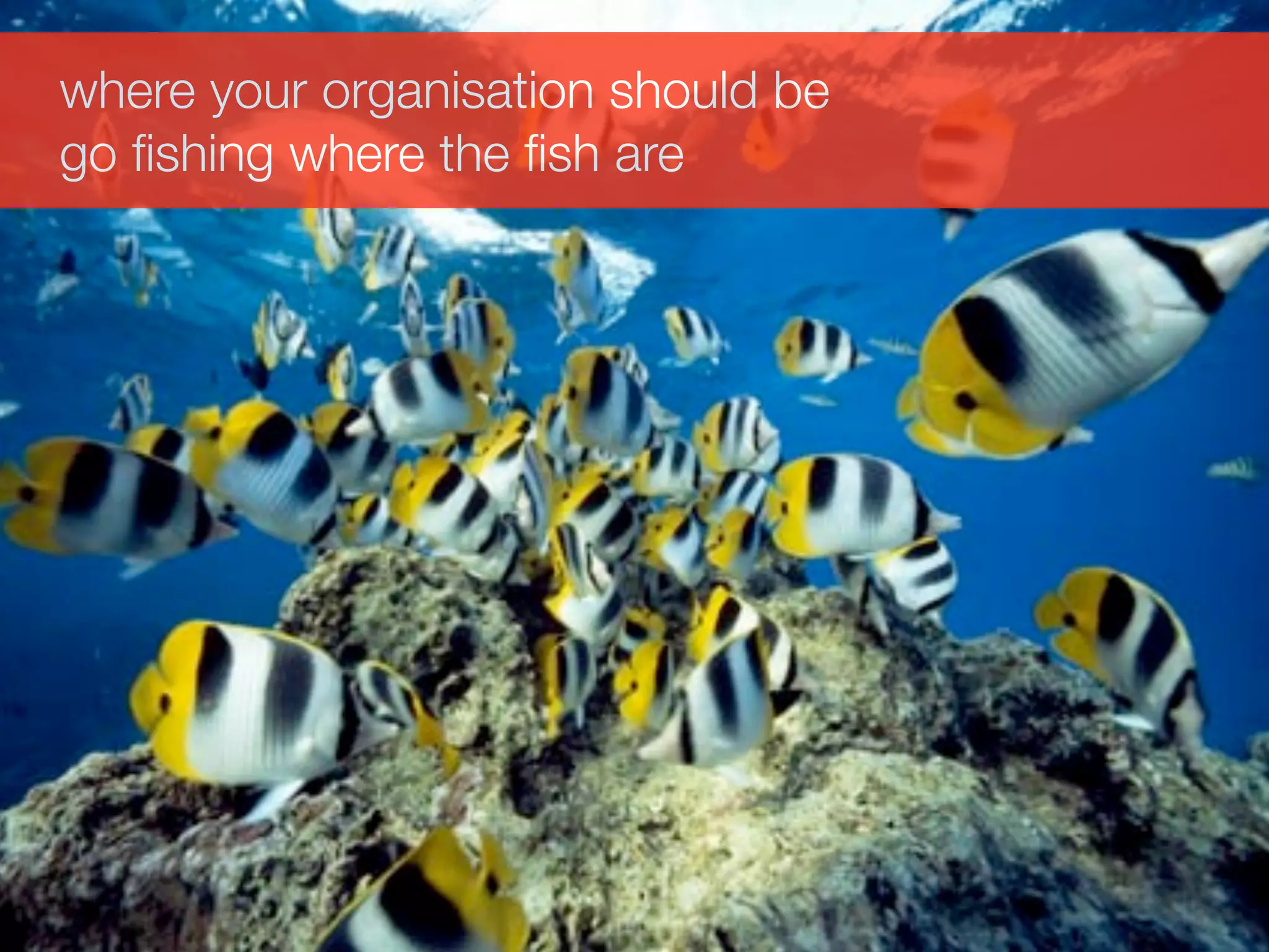 where your organisation should be
go ﬁshing where the ﬁsh are
 