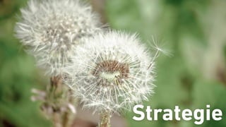 Die Bedeutung von Social Media
Strategie
 