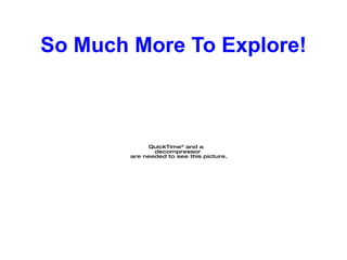So Much More To Explore! 