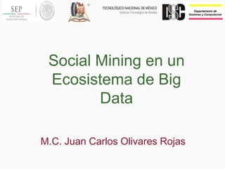 Social Mining en un
Ecosistema de Big
Data
M.C. Juan Carlos Olivares Rojas
 