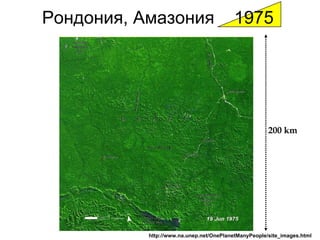 Рондония ,  Амазония   1975 http://www.na.unep.net/OnePlanetManyPeople/site_images.html   200 km 