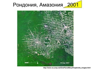 Рондония ,  Амазония   2001 http://www.na.unep.net/OnePlanetManyPeople/site_images.html   