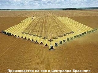 Производство на соя в централна Бразилия 