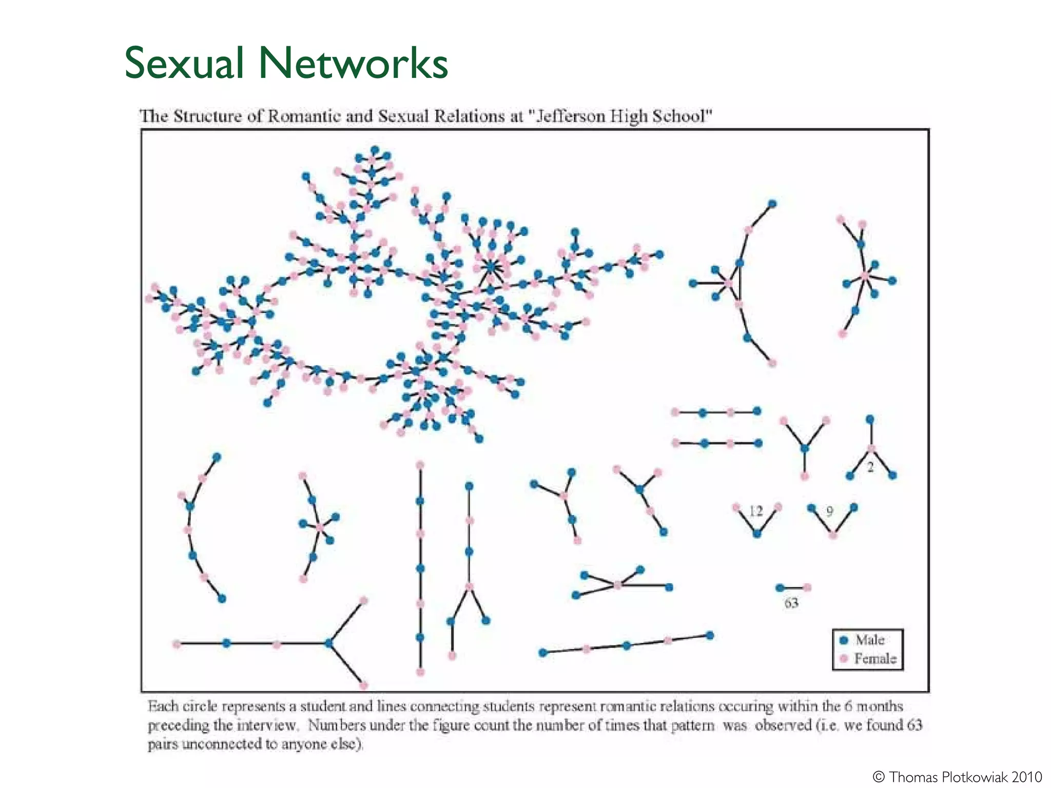 Sexual Networks




                  © Thomas Plotkowiak 2010
 