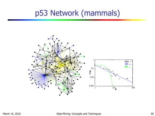 P53 P(k) p53 Network (mammals) 