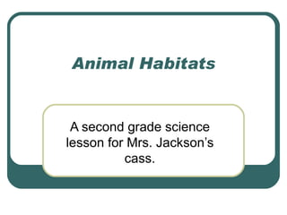 Animal Habitats A second grade science lesson for Mrs. Jackson’s cass. 