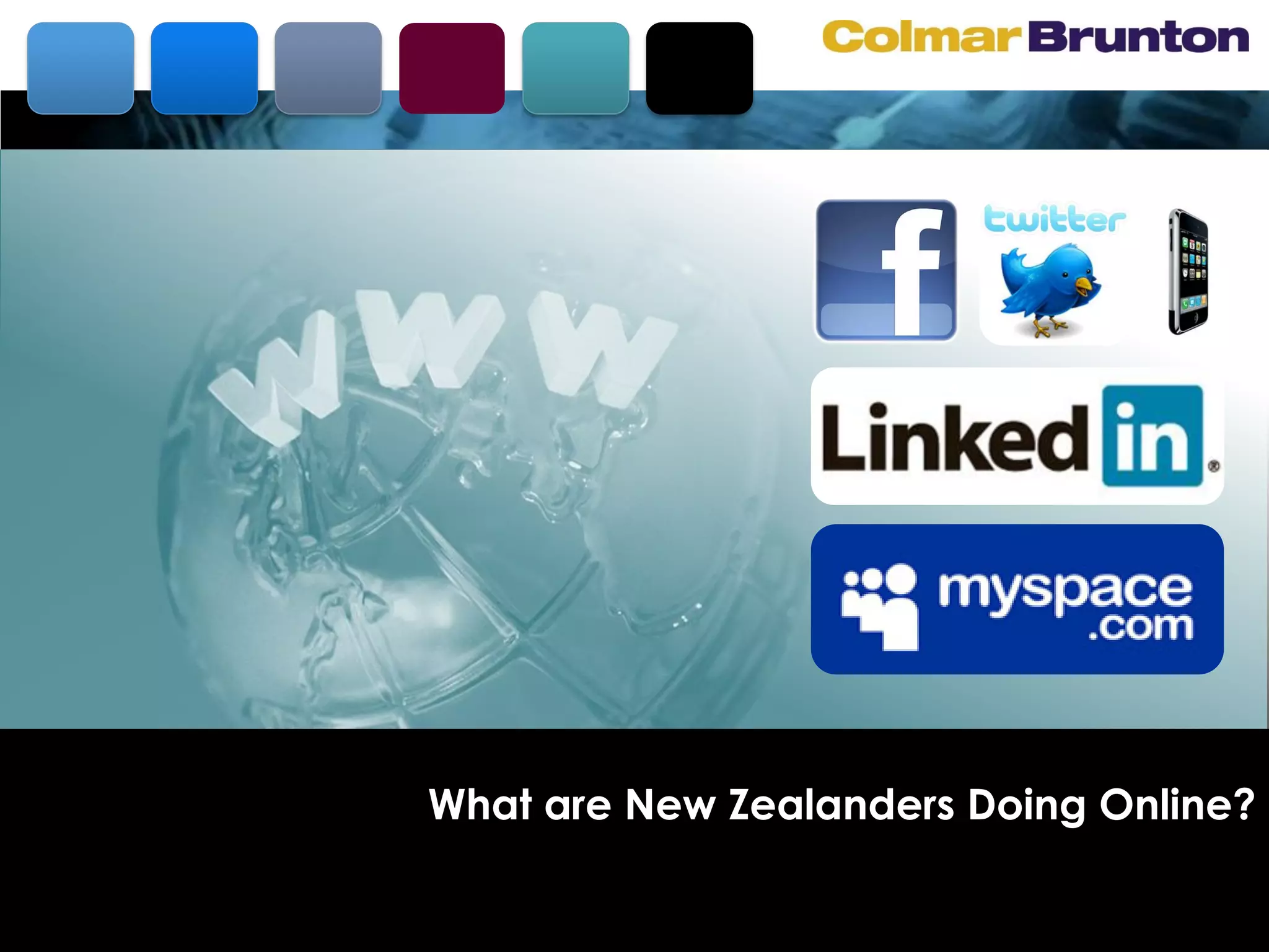 What are New Zealanders Doing Online?
 