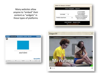 Social networking with NINGS for language and culture