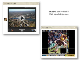 Social networking with NINGS for language and culture