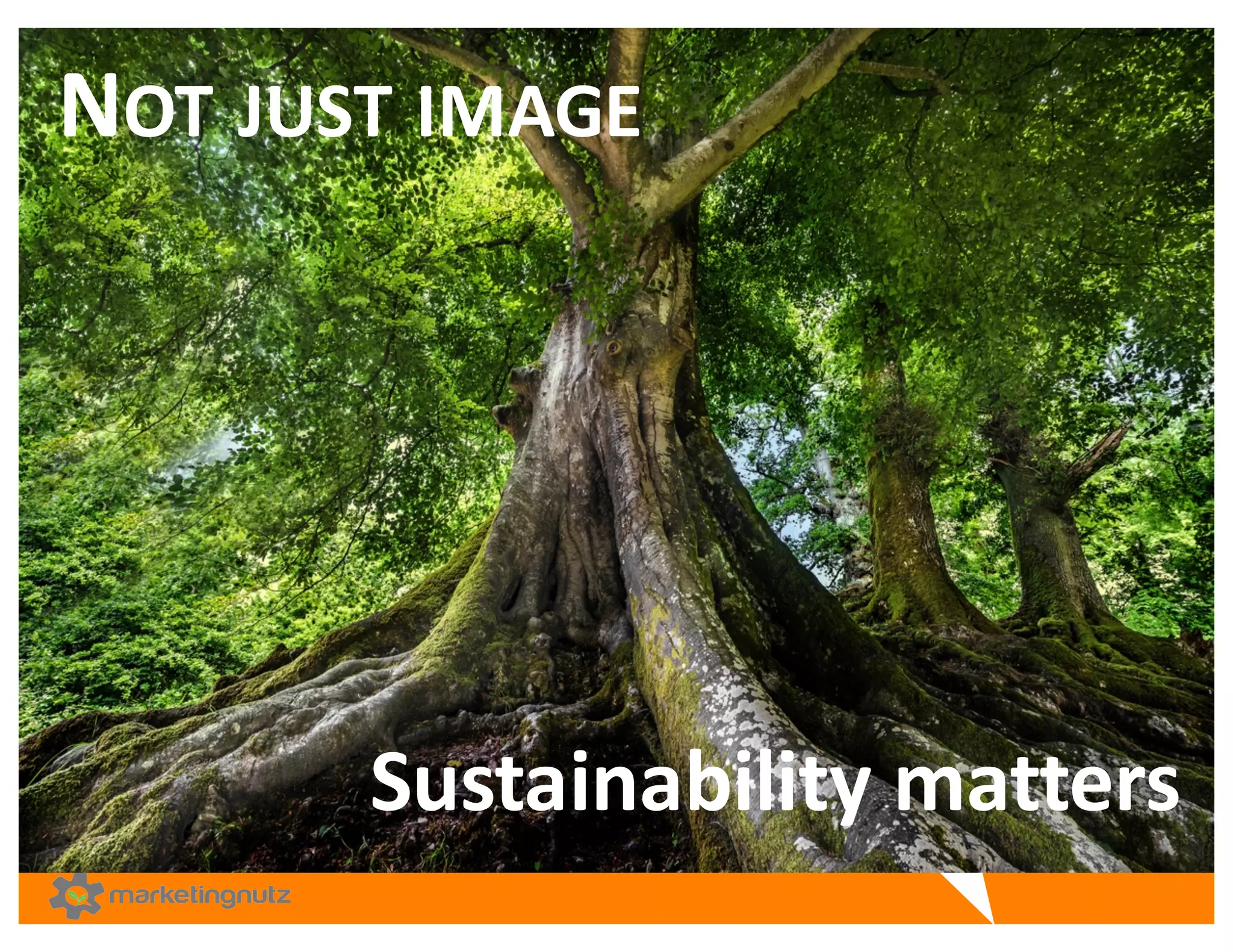NOT JUST IMAGE
Sustainability	
  matters	
  
 