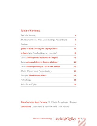 3HOW TO BUILD A GLOBAL PASSION BRAND
2013
Table of Contents
Executive Summary 5
What Brands Need to Know About Building a ...