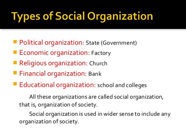 examples from community system through society examples in interpersonal composition during society