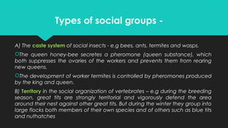 Types of social groups -
A) The caste system of social insects - e.g bees, ants, termites and wasps.
The queen honey-bee secretes a pheromone (queen substance), which
both suppresses the ovaries of the workers and prevents them from rearing
new queens.
The development of worker termites is controlled by pheromones produced
by the king and queen.
B) Territory in the social organization of vertebrates – e.g during the breeding
season, great tits are strongly territorial and vigorously defend the area
around their nest against other great tits. But during the winter they group into
large flocks both members of their own species and of others such as blue tits
and nuthatches
 