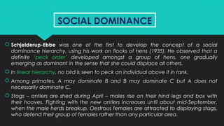 SOCIAL DOMINANCESOCIAL DOMINANCE
 Schjelderup-Ebbe was one of the first to develop the concept of a social
dominance hierarchy, using his work on flocks of hens (1935). He observed that a
definite ‘peck order’ developed amongst a group of hens, one gradually
emerging as dominant in the sense that she could displace all others.
 In linear hierarchy, no bird is seen to peck an individual above it in rank.
 Among primates, A may dominate B and B may dominate C but A does not
necessarily dominate C.
 Stags – antlers are shed during April – males rise on their hind legs and box with
their hooves. Fighting with the new antlers increases until about mid-September,
when the male herds breakup. Oestrous females are attracted to displaying stags,
who defend their group of females rather than any particular area.
 