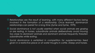  Relationships are the result of learning, with many different factors being
involved in the formation of a relationship. Once learned, dominance
relationships can persist for a long time (Syme and Syme, 1979).
 Social dominance is not usually exerted when social animals are grazing
or are resting. In horses, subordinate animals deliberatively avoid moving
too close to dominant animals and dominant animals frequently threaten
subordinates while eating.
 Social dominance is exhibited in competition for supplementary feed
given in a restrictive place or at water troughs in cattle, sheep and horses.
 