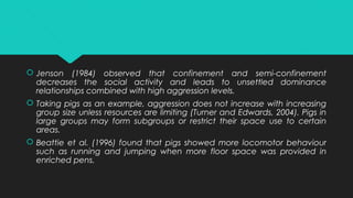  Jenson (1984) observed that confinement and semi-confinement
decreases the social activity and leads to unsettled dominance
relationships combined with high aggression levels.
 Taking pigs as an example, aggression does not increase with increasing
group size unless resources are limiting (Turner and Edwards, 2004). Pigs in
large groups may form subgroups or restrict their space use to certain
areas.
 Beattie et al. (1996) found that pigs showed more locomotor behaviour
such as running and jumping when more floor space was provided in
enriched pens.
 