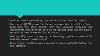  Another advantage is utilizing food resources found by other animals.
 Krebs et al. (1972) showed that when one member of a tit flock finds a
food item, the others rapidly alter their searching strategies and
concentrate their attention both on the general area and the type of
niche in the trees where the food was found.
 Nelson (1980) argues that a group of birds diving together confuse the fish
that they are more easily caught.
 Lions, hyaenas and Cape hunting dogs are all examples of predators that
hunt together.
 
